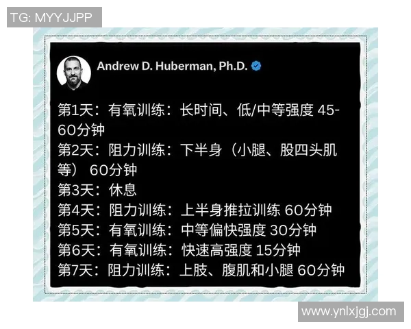 提升游泳技能与体能锻炼的完美结合打造高效训练计划与比赛策略