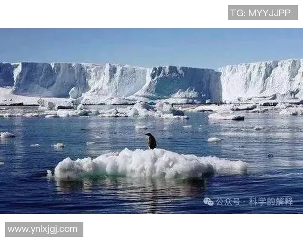 全球气候变化加剧 各国联合应对成效显著但挑战依旧严峻