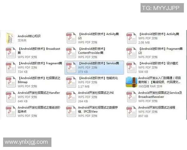 飞盘战术全解析：从基础到进阶的全面指南与实战技巧分享